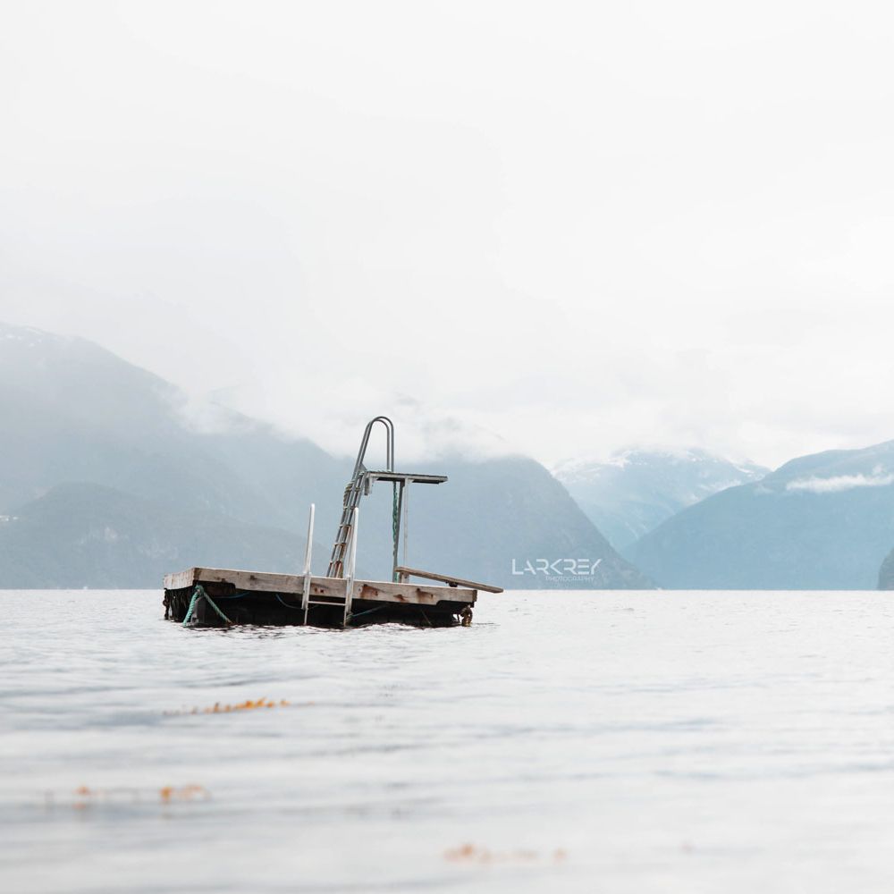 Kleine Schwimminsel im Wasser vor Bergen im Hintergrund